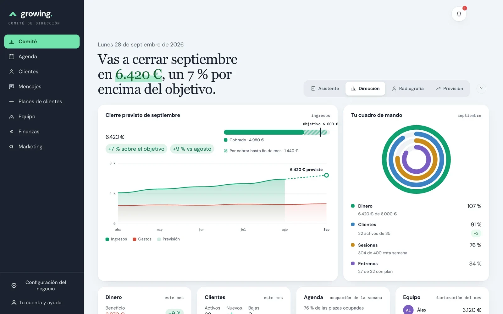 El comité de dirección